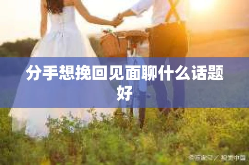 分手想挽回见面聊什么话题好