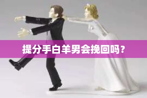 提分手白羊男会挽回吗？