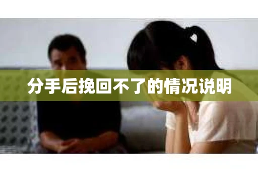 分手后挽回不了的情况说明