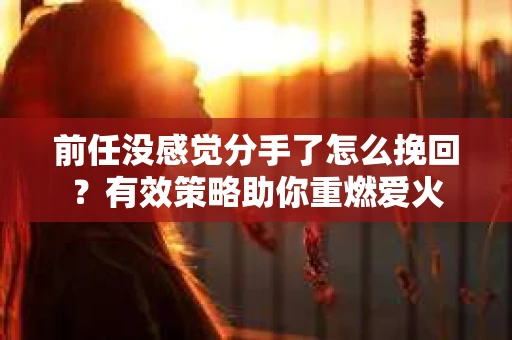 前任没感觉分手了怎么挽回？有效策略助你重燃爱火