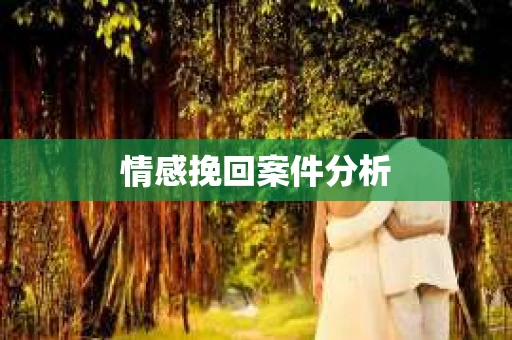 情感挽回案件分析