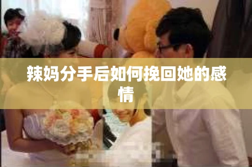 辣妈分手后如何挽回她的感情