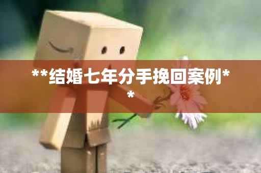 **结婚七年分手挽回案例**