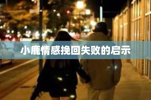 小鹿情感挽回失败的启示