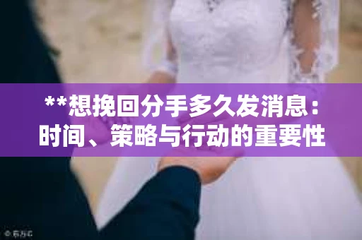 **想挽回分手多久发消息：时间、策略与行动的重要性**