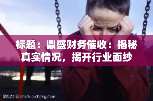 标题：鼎盛财务催收：揭秘真实情况，揭开行业面纱