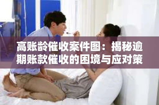 高账龄催收案件图：揭秘逾期账款催收的困境与应对策略
