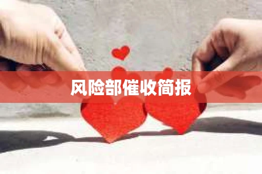 风险部催收简报