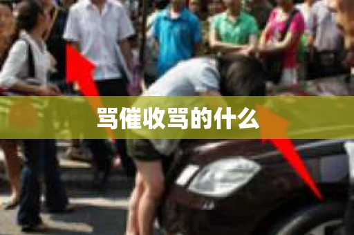 骂催收骂的什么