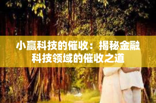 小赢科技的催收：揭秘金融科技领域的催收之道