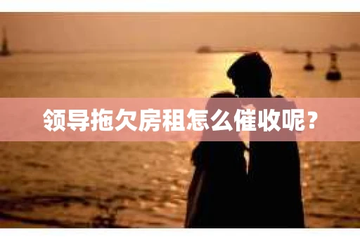 领导拖欠房租怎么催收呢？