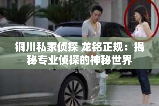 铜川私家侦探 龙铭正规：揭秘专业侦探的神秘世界