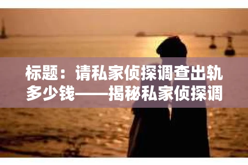 标题：请私家侦探调查出轨多少钱——揭秘私家侦探调查费用及注意事项