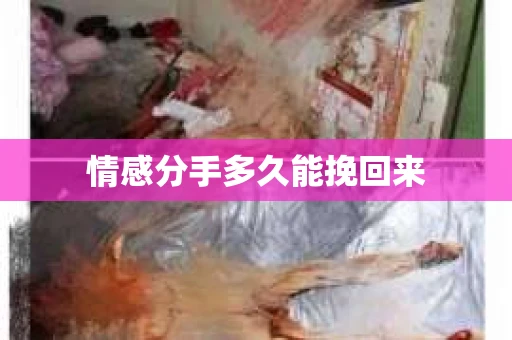 情感分手多久能挽回来