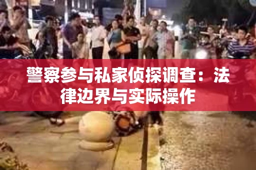 警察参与私家侦探调查：法律边界与实际操作