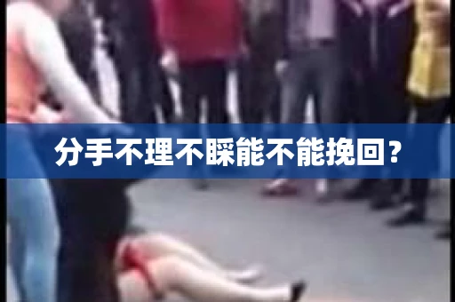 分手不理不睬能不能挽回？
