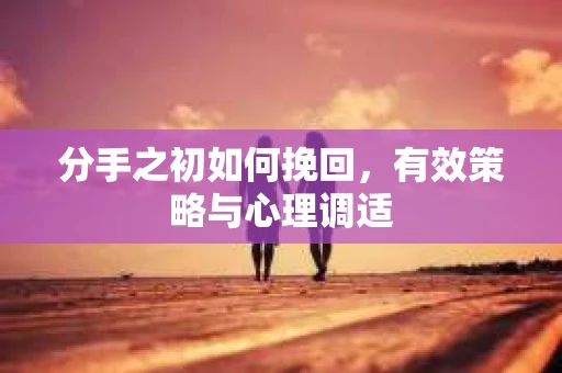 分手之初如何挽回，有效策略与心理调适