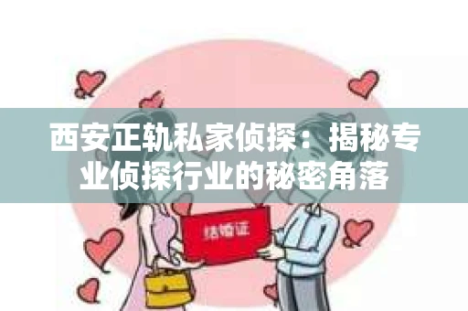 西安正轨私家侦探：揭秘专业侦探行业的秘密角落